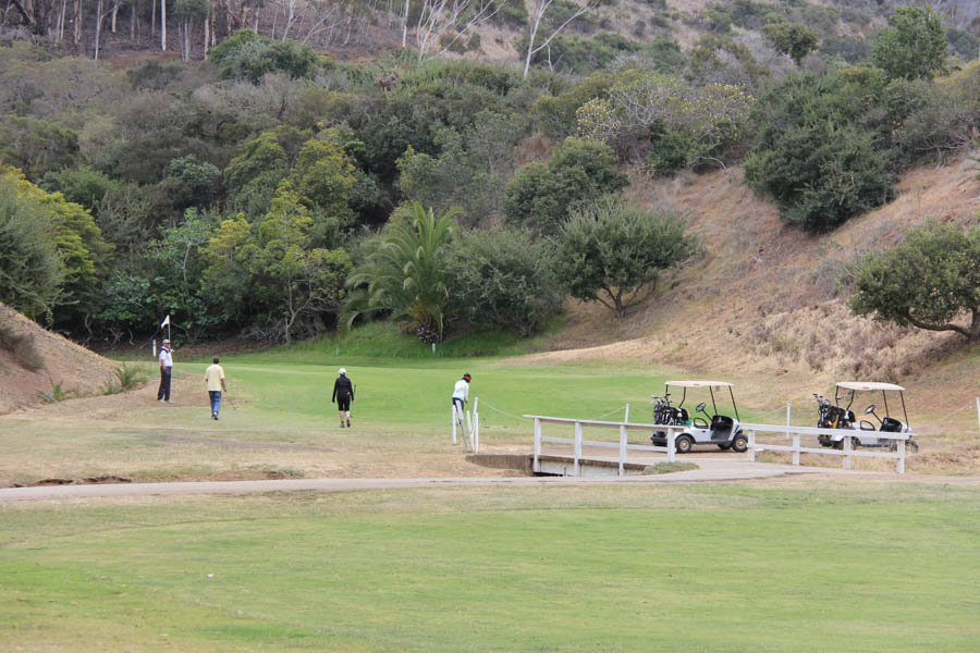 Golf in Catalina May 2018