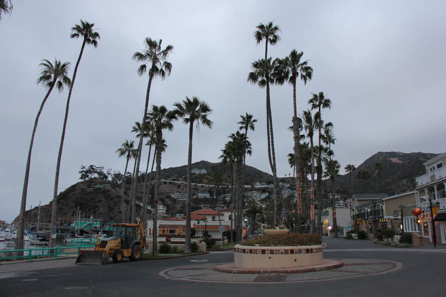 Saturday early morning walk on Avalon's main drag