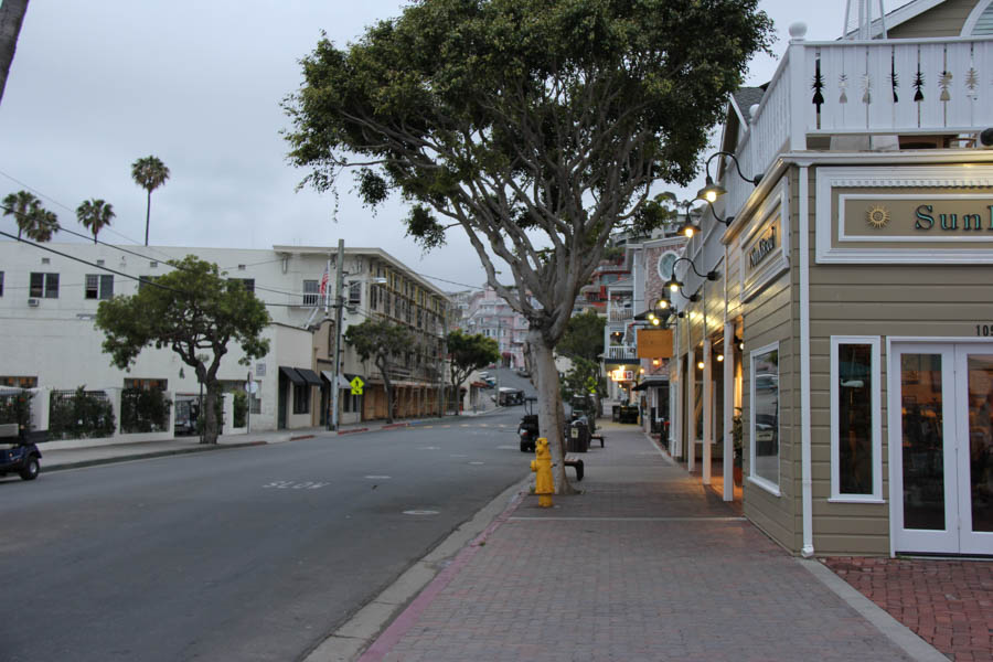 Saturday early morning walk on Avalon's main drag