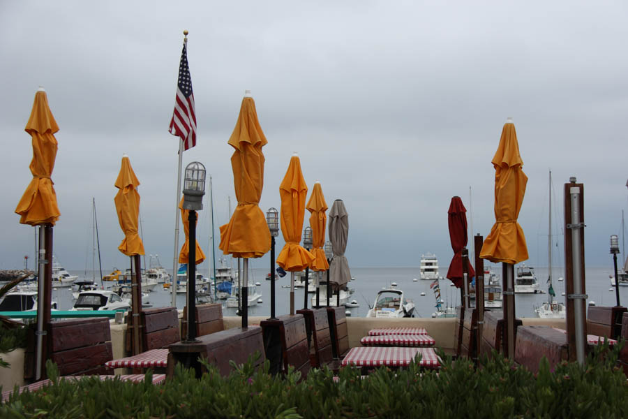 Saturday early morning walk on Avalon's main drag