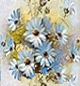 Miscellaneous backgrounds