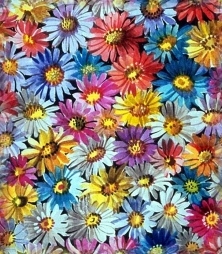 Miscellaneous backgrounds