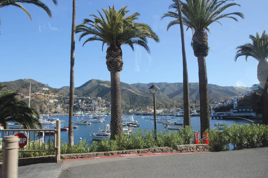 Catalina 3/24/2015 for our anniversary with the Finch's