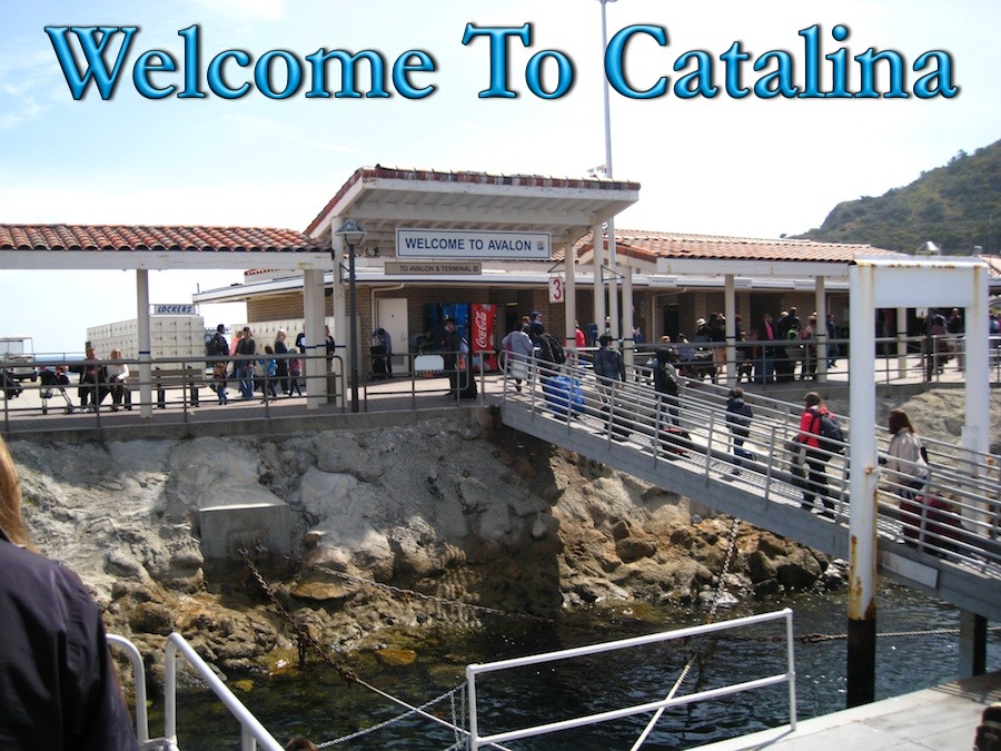 Visiting Catalina for the Pre Avalon Ball activities March 2013