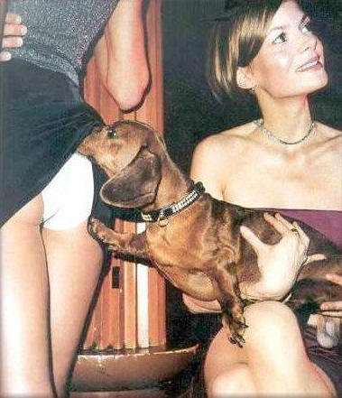 Good Dog