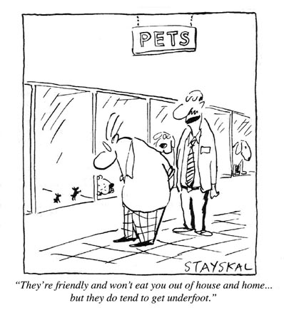 Vets
