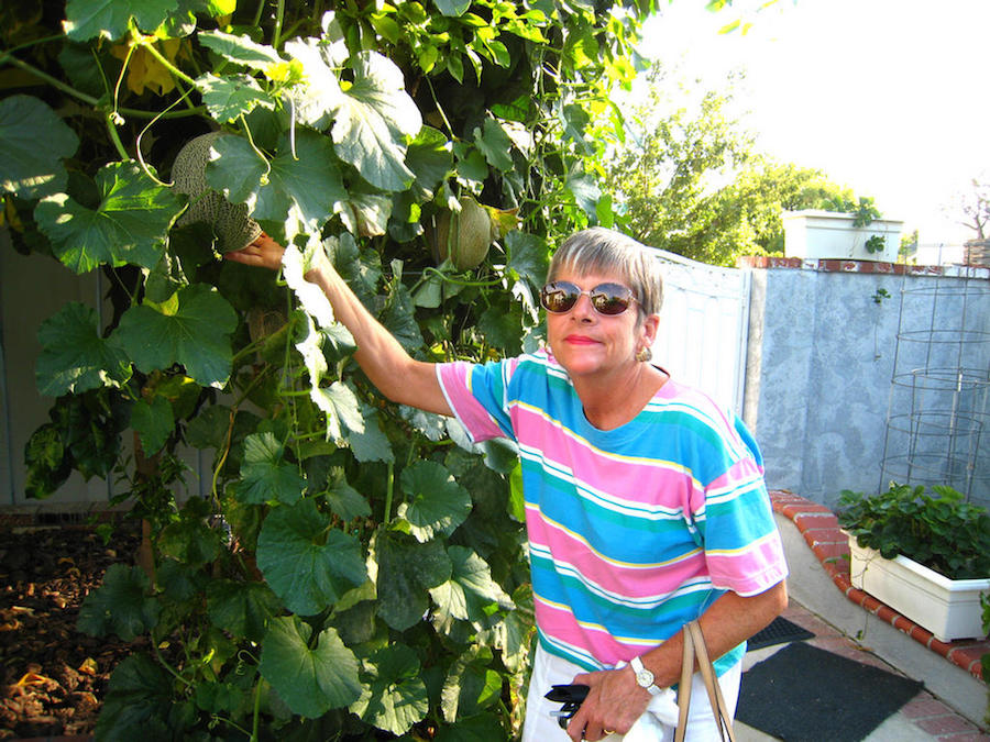 Cooking from the garden