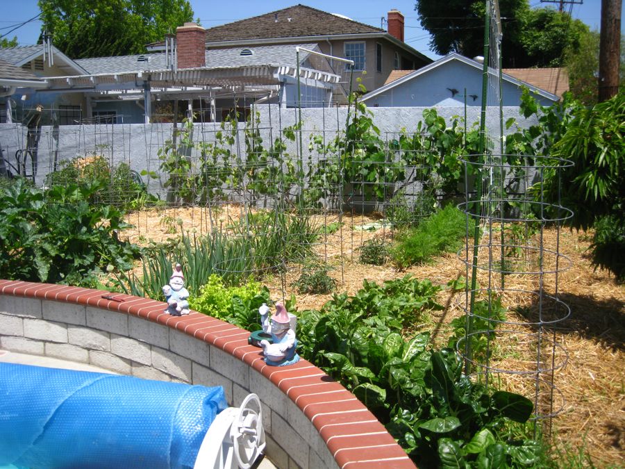 2011 gardening activities
