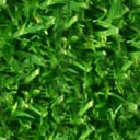 Miscellaneous backgrounds