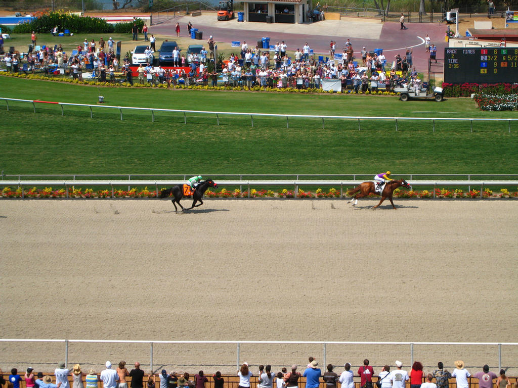 Go Horsey Go!