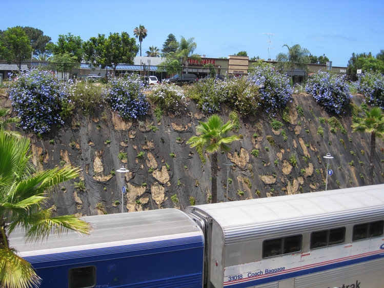 Del Mar Adventure 2008, at the races