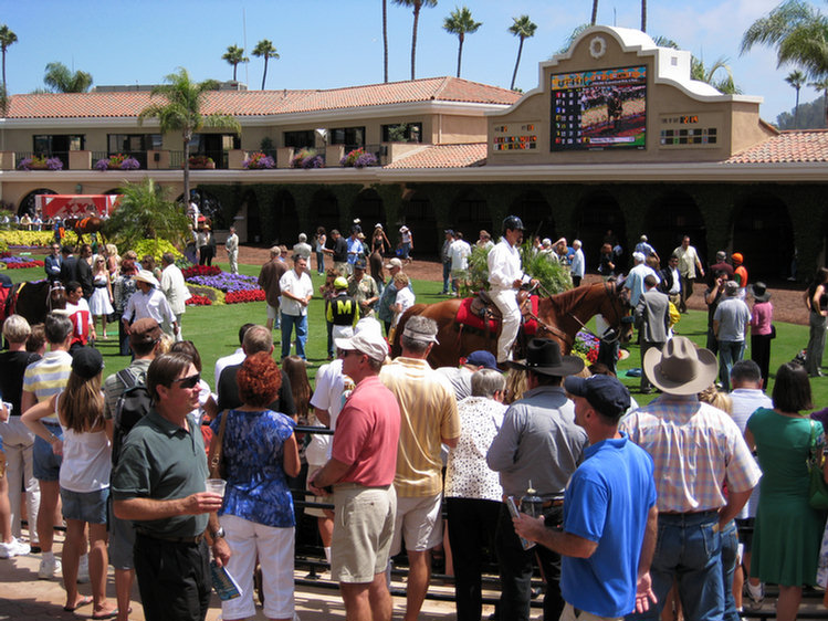 Del Mar Adventure 2008, at the races