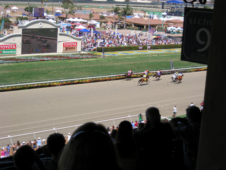Del Mar Adventure 2008, at the races