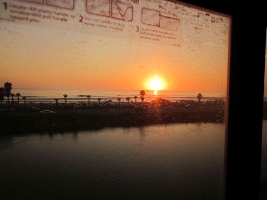 Del Mar races 2011