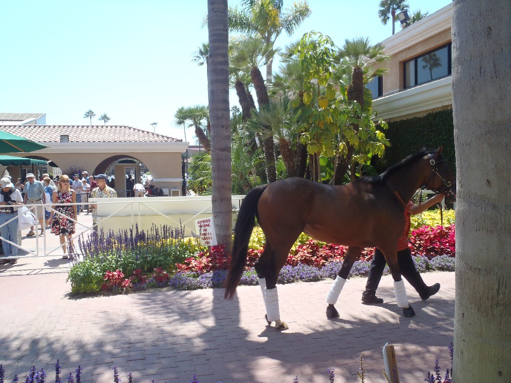 Del Mar races 2011