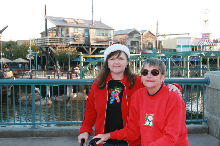 Robin's Birthday A Disneyland