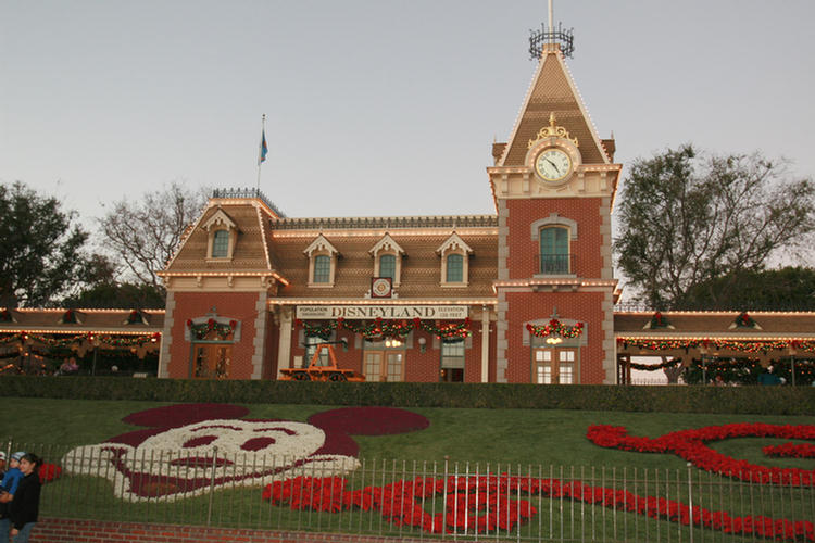 Robin's Birthday A Disneyland