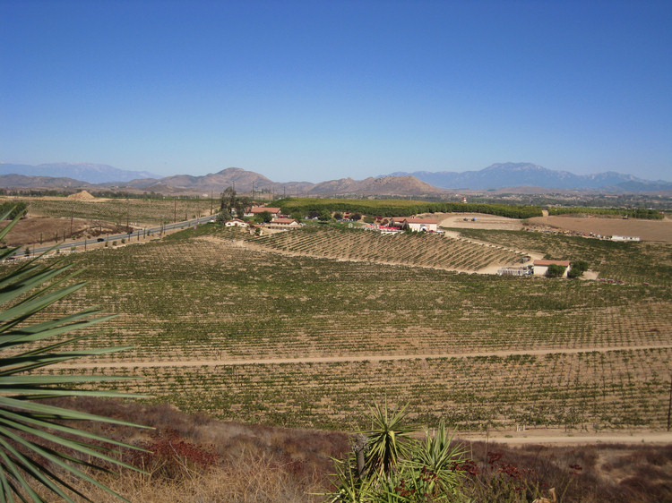 Temecula Wine Bus Tour 2009