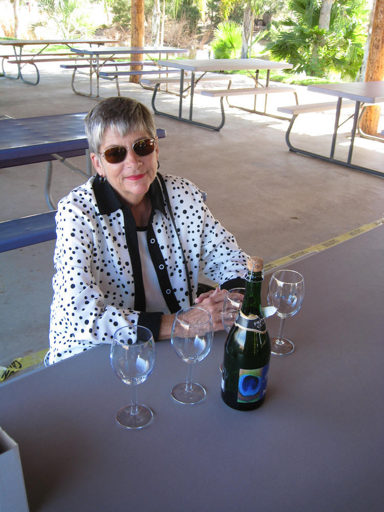 Temecula Wine Bus Tour 2009