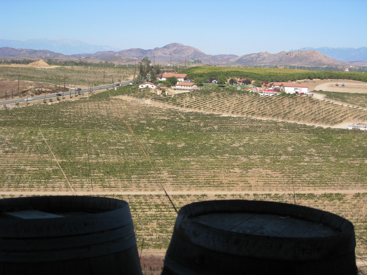 Temecula Wine Bus Tour 2009