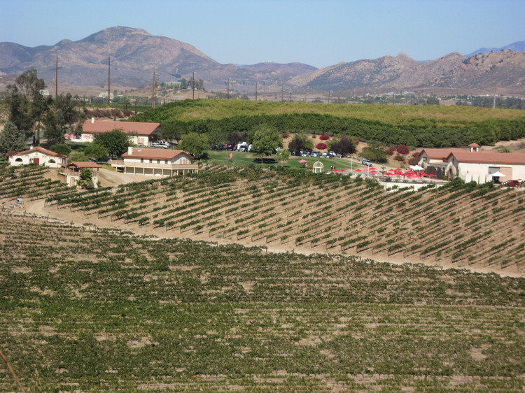 Temecula Wine Bus Tour 2009