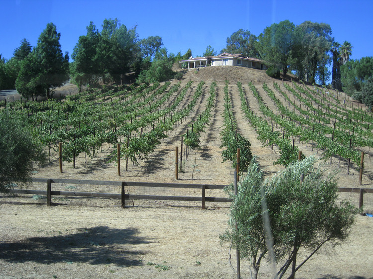 Temecula Wine Bus Tour 2009