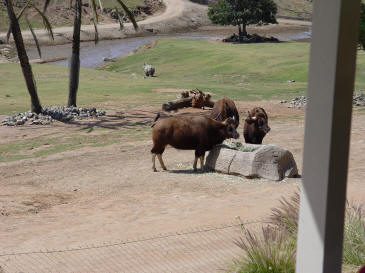 Easterbreak In San Diego