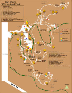 Wild Animal Park Map