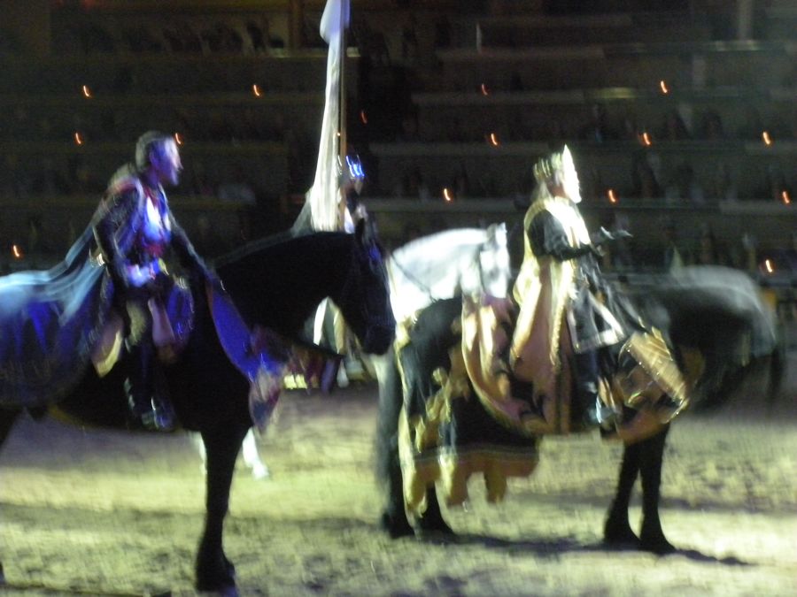 Medieval Times June 2011