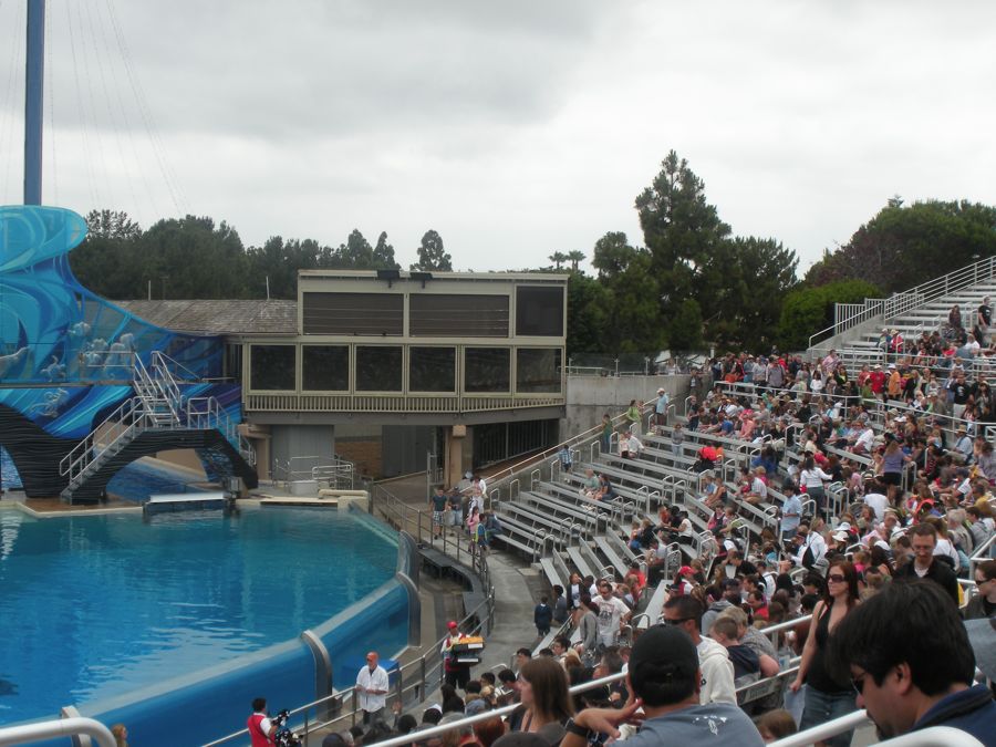 Jon and Sara  go to Sea World 2011 then dine with Pete and Lisa