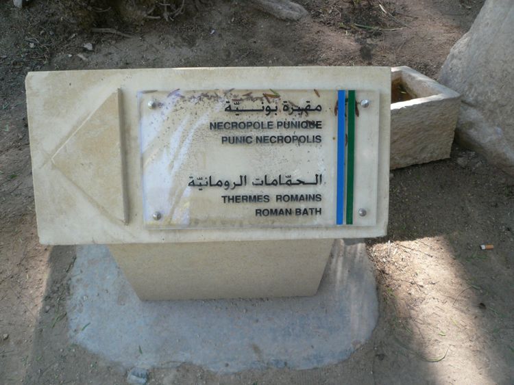 Zaitz Vacaton: Tunisia