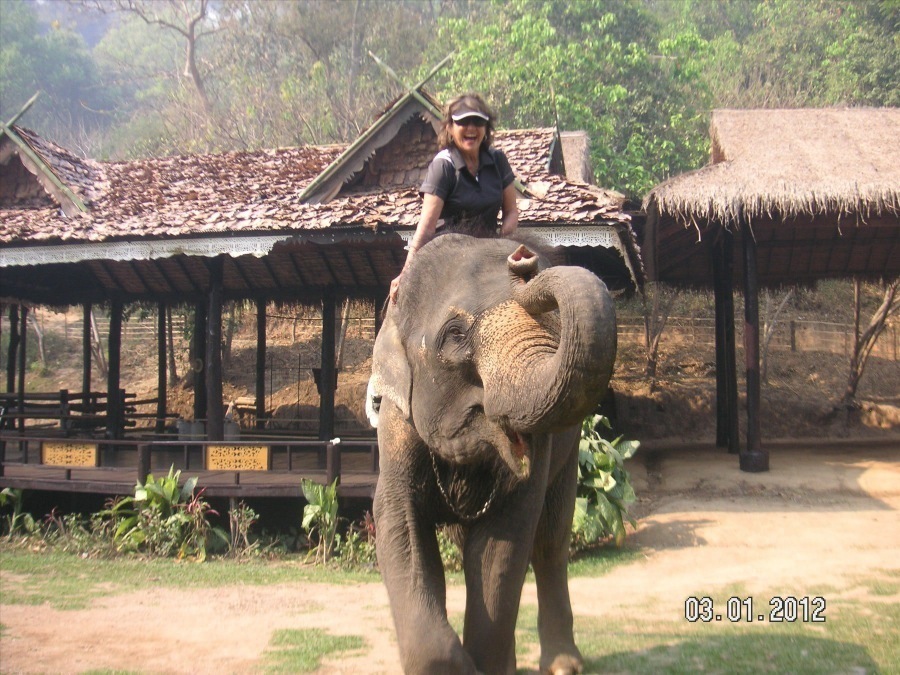 Time to visit the elephants and have a ride