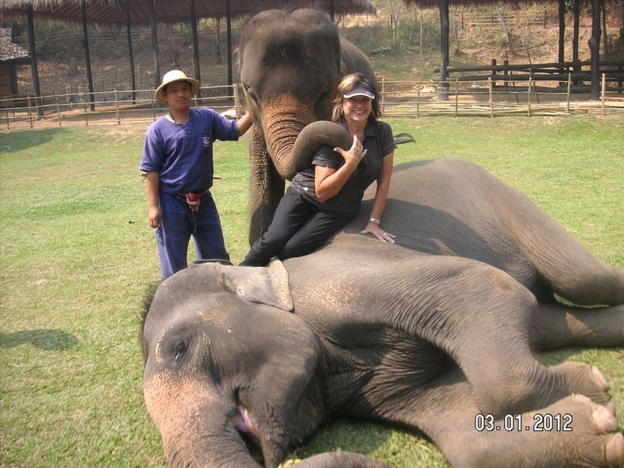 Time to visit the elephants and have a ride