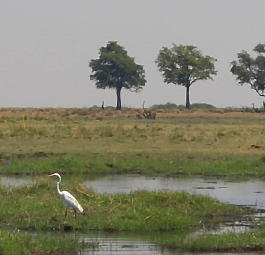 Janice visits Africa October 2016