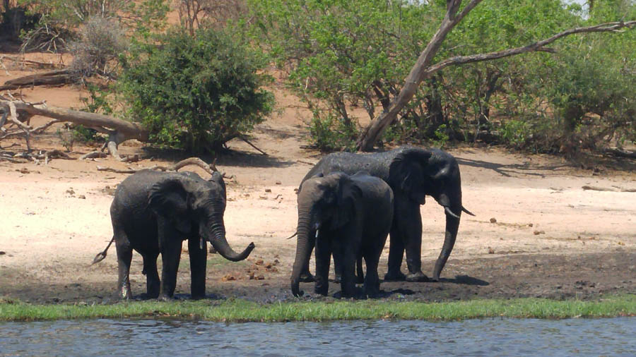 Janice visits Africa October 2016