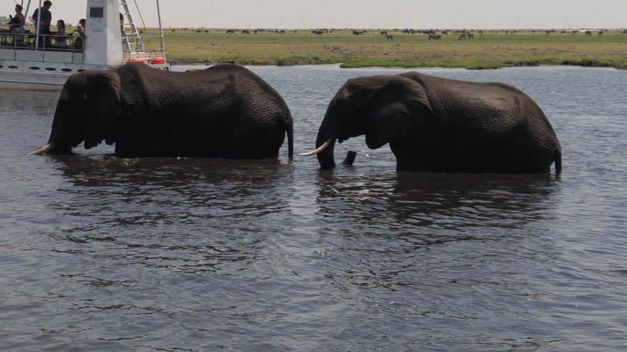 Janice visits Africa October 2016