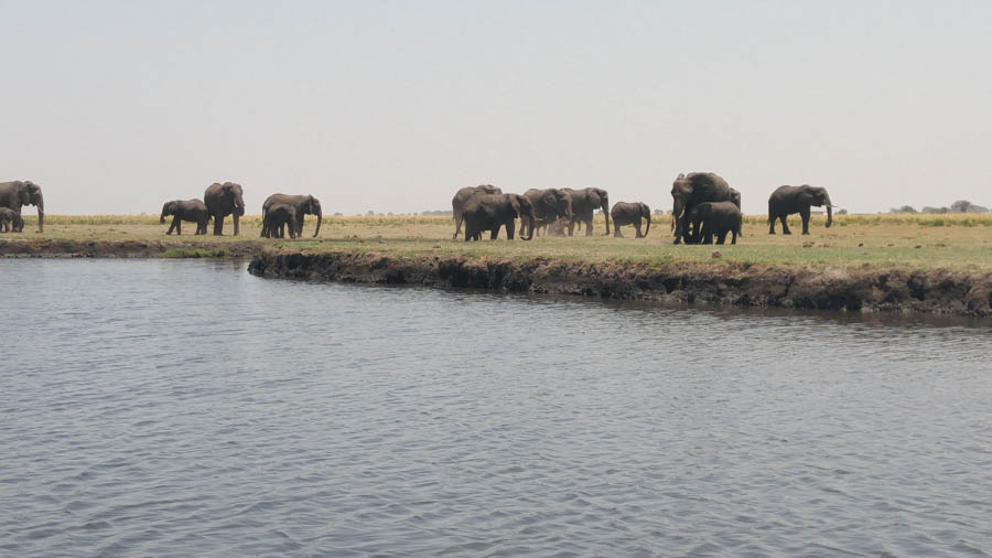 Janice visits Africa October 2016