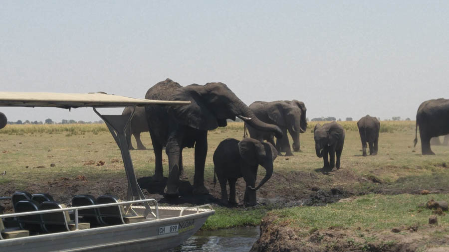 Janice visits Africa October 2016