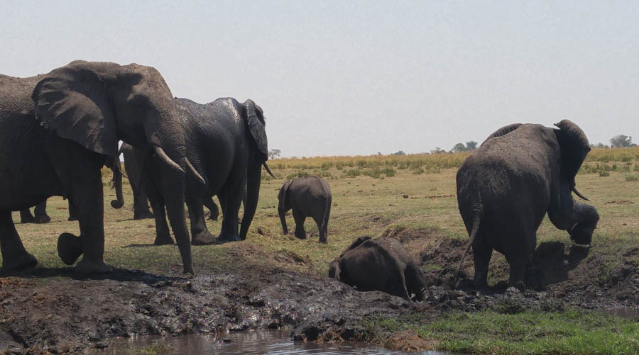 Janice visits Africa October 2016