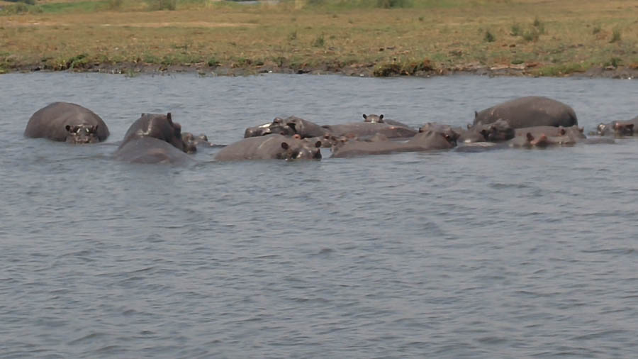 Janice visits Africa October 2016