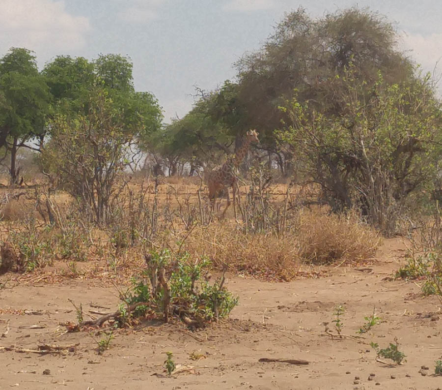 Janice visits Africa October 2016