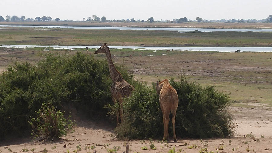 Janice visits Africa October 2016