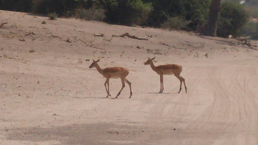 Janice visits Africa October 2016