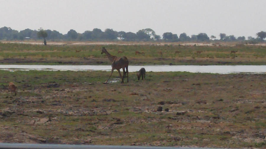 Janice visits Africa October 2016