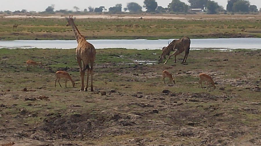 Janice visits Africa October 2016