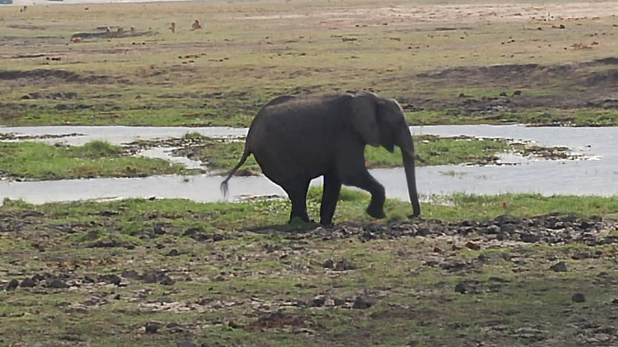 Janice visits Africa October 2016