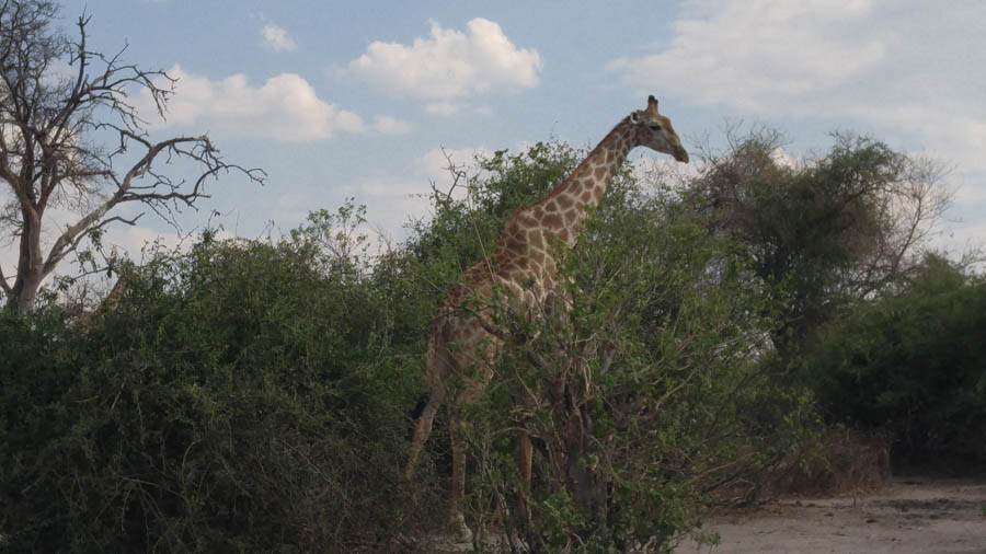 Janice visits Africa October 2016