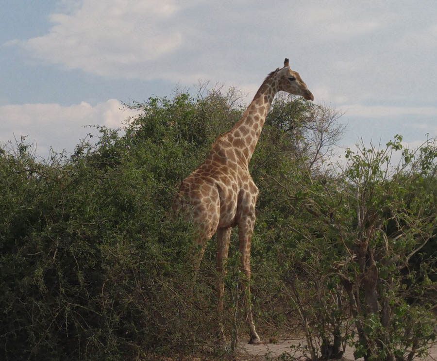 Janice visits Africa October 2016