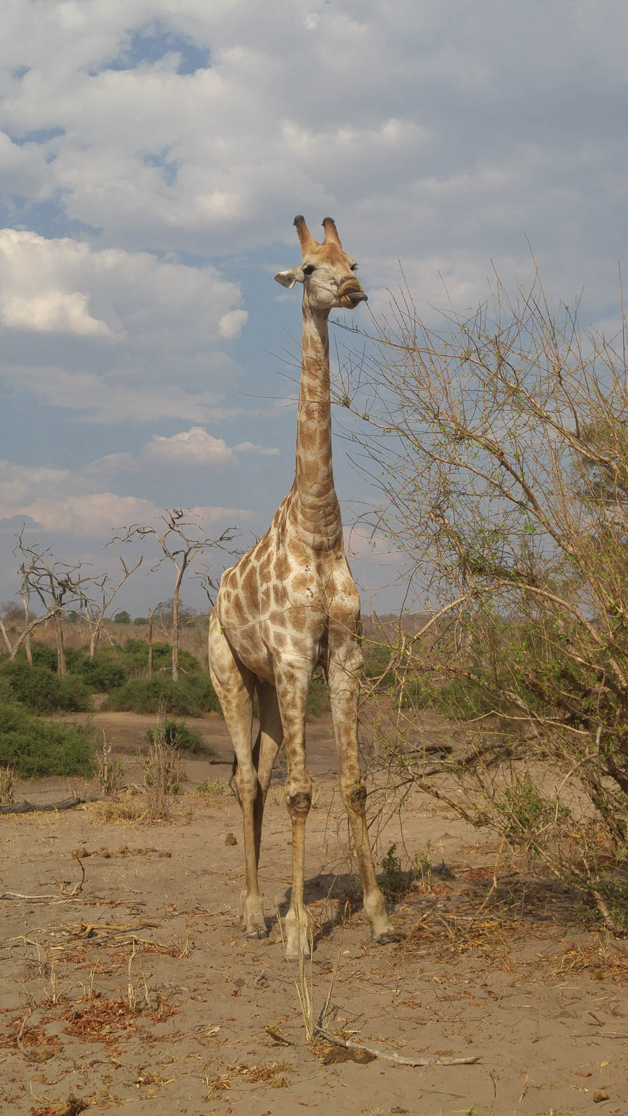 Janice visits Africa October 2016