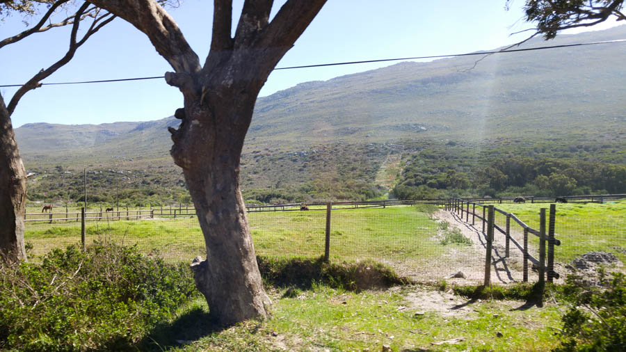 Visiting the Cape Of Good Hope 10/18/2016